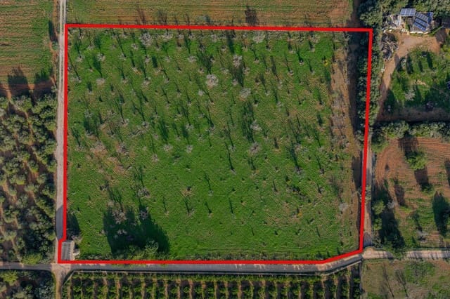 Solar/Parcela en Búger en venta - 199.900 € (Ref: 9349600)