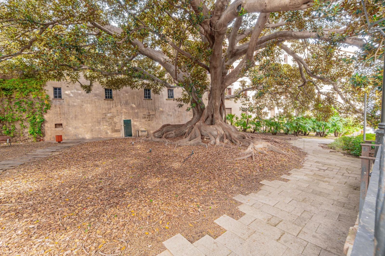 3 sypialnia Mieszkanie na sprzedaż w Palma de Mallorca - 419 900 € (Ref: 9355877)