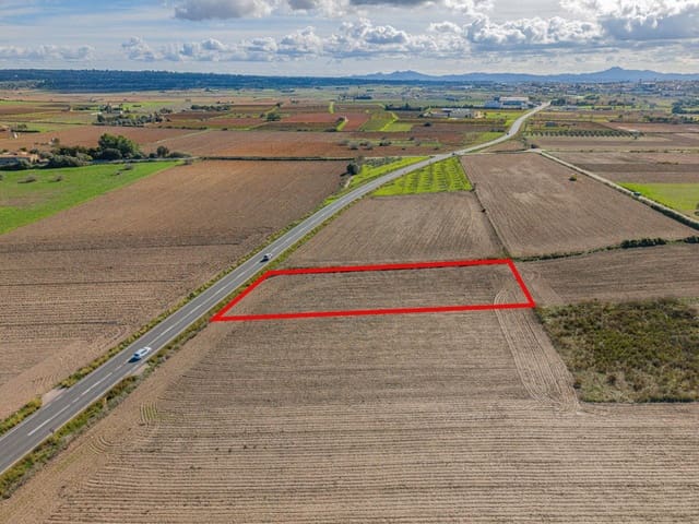 Grond te koop in Petra - € 14.000 (Ref: 9401098)