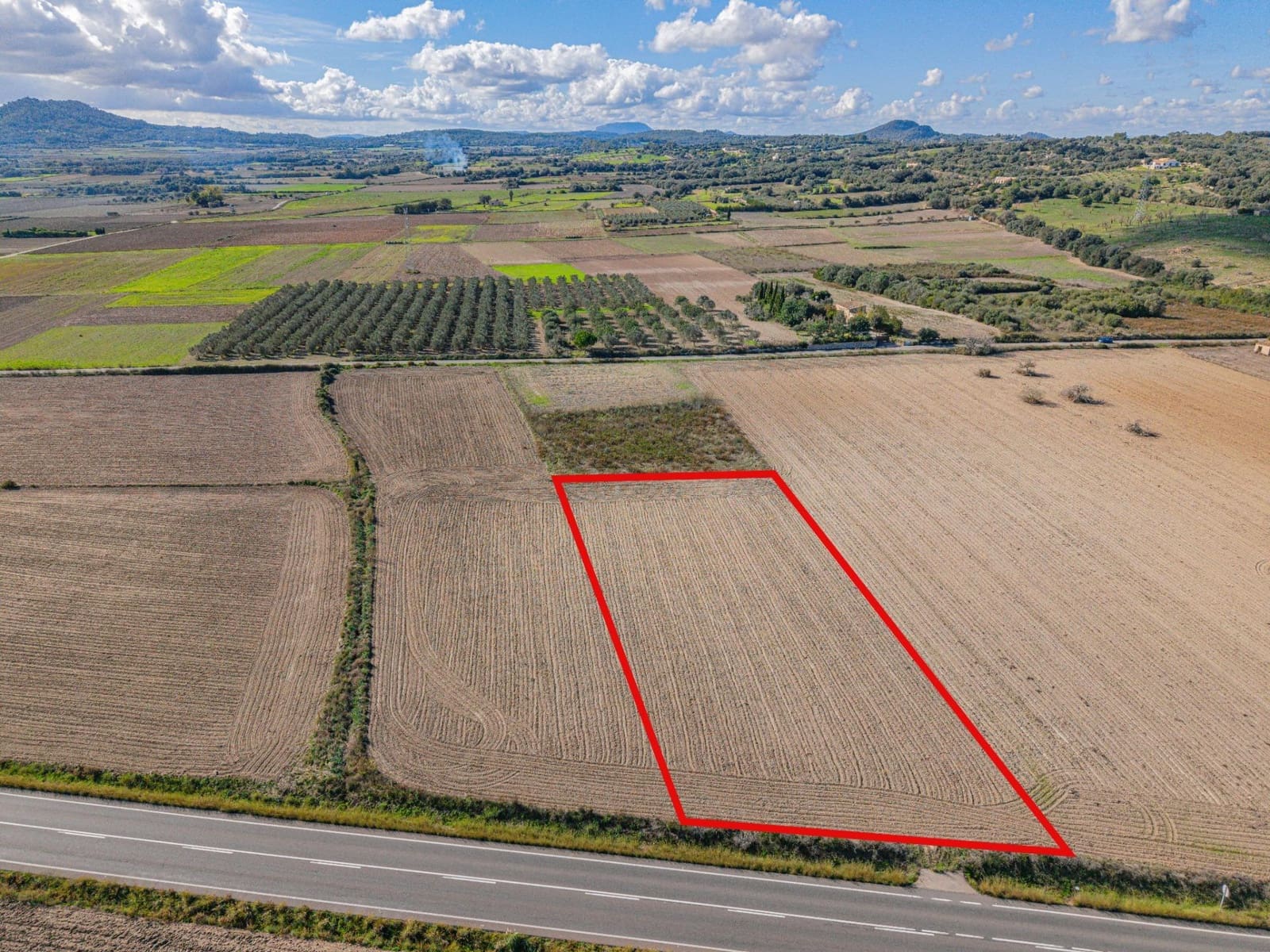 Undeveloped Land for sale in Petra - € 14,000 (Ref: 9401099)