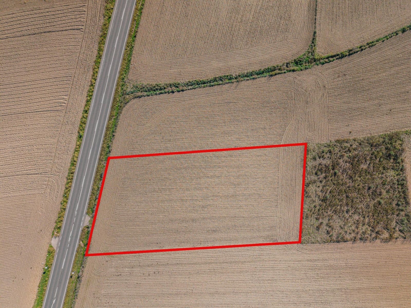 Undeveloped Land for sale in Petra - € 14,000 (Ref: 9401099)