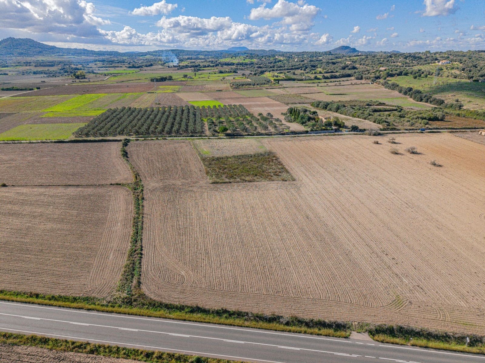 Undeveloped Land for sale in Petra - € 14,000 (Ref: 9401099)