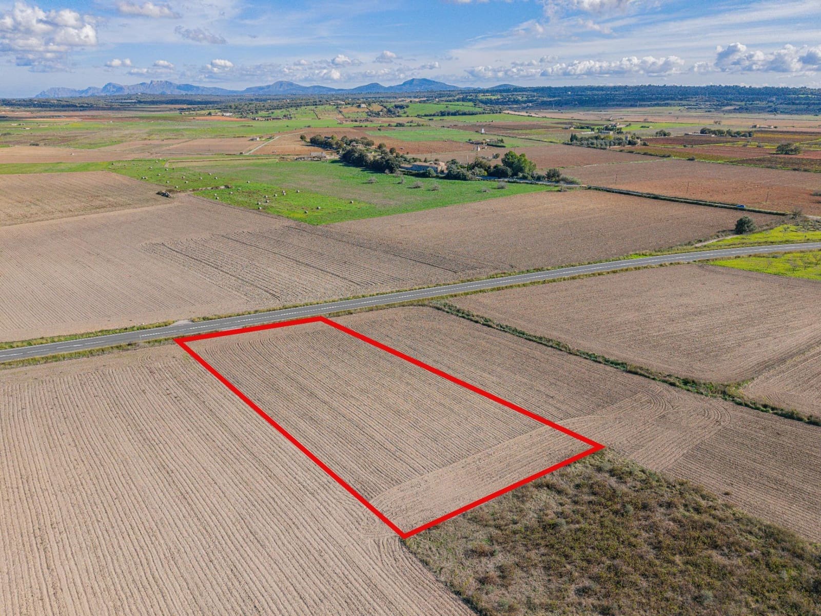 Undeveloped Land for sale in Petra - € 14,000 (Ref: 9401099)