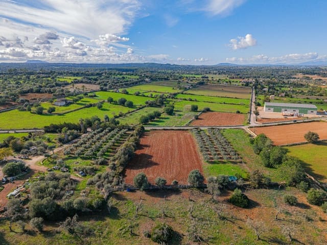 Undeveloped Land for sale in Llubí - € 23,000 (Ref: 9401102)