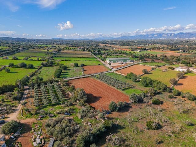 Undeveloped Land for sale in Llubí - € 23,000 (Ref: 9401102)