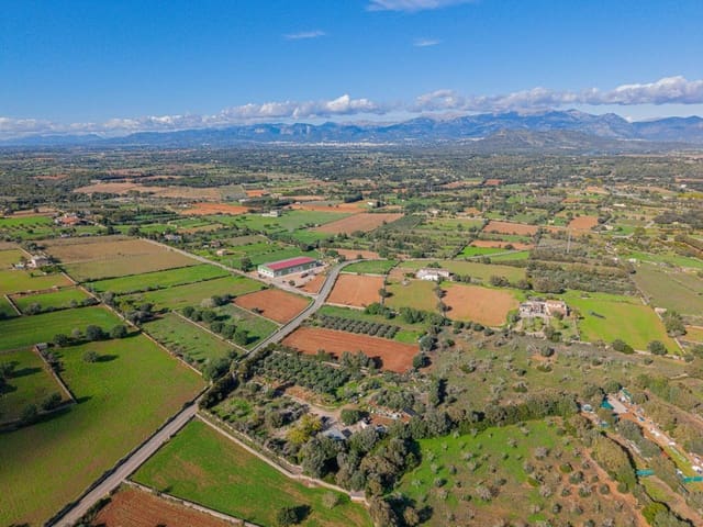 Undeveloped Land for sale in Llubí - € 23,000 (Ref: 9401102)