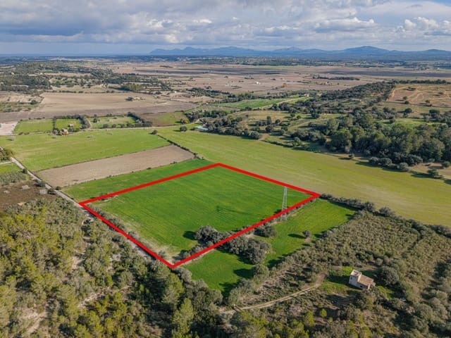 Solar/Parcela en Llubí en venta - 149.000 € (Ref: 9449340)