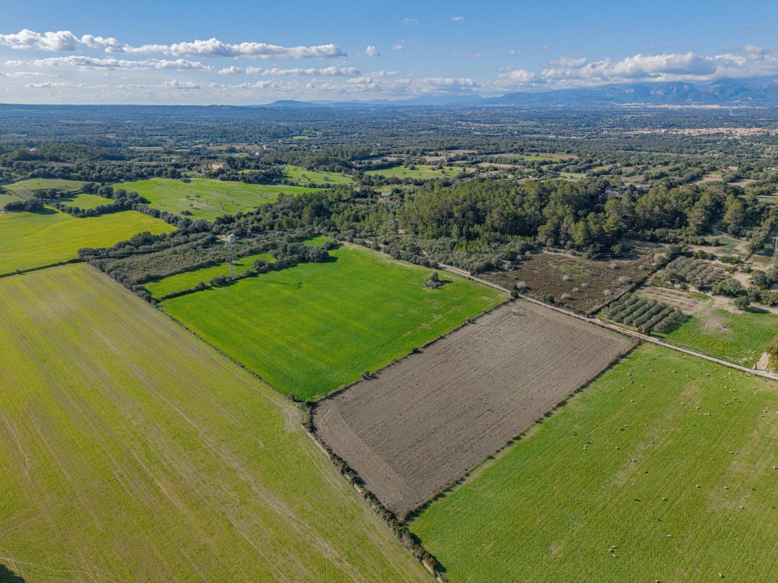 Tontti myytävänä paikassa Llubi - 149 000 € (Ref: 9449340)