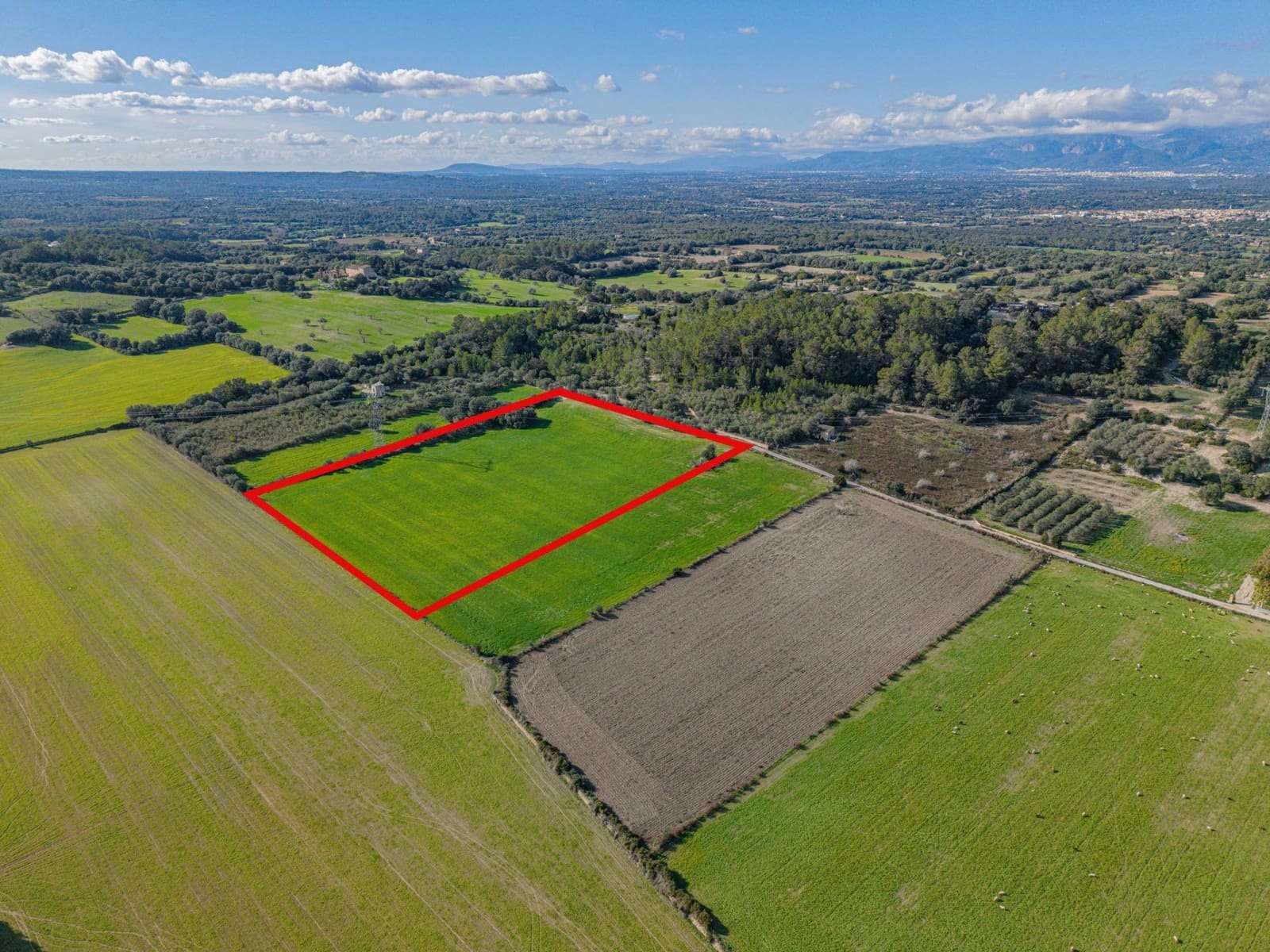 Tontti myytävänä paikassa Llubi - 149 000 € (Ref: 9449340)