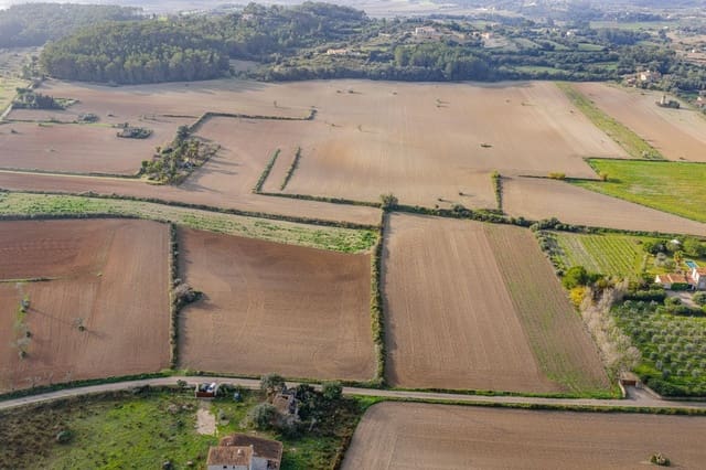 Rakentamaton maa myytävänä paikassa Lloret de Vista Alegre - 249 000 € (Ref: 9474225)