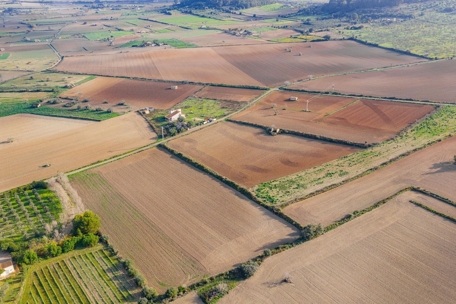 Terreno Non Edificato in vendita in Lloret de Vista Alegre - 249.000 € (Rif: 9474225)