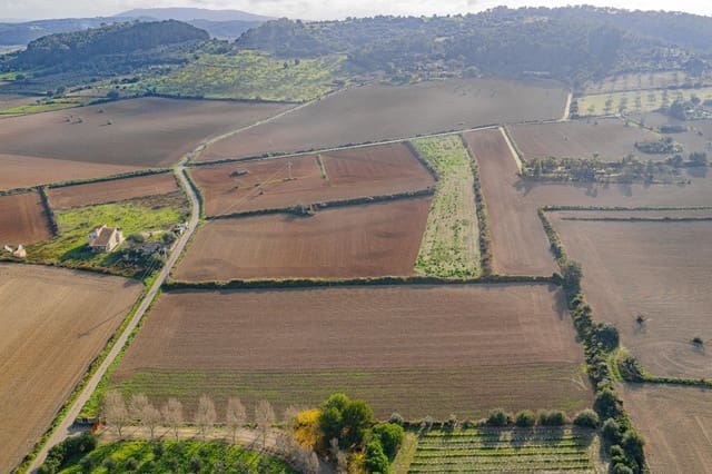 Rakentamaton maa myytävänä paikassa Lloret de Vista Alegre - 249 000 € (Ref: 9474225)