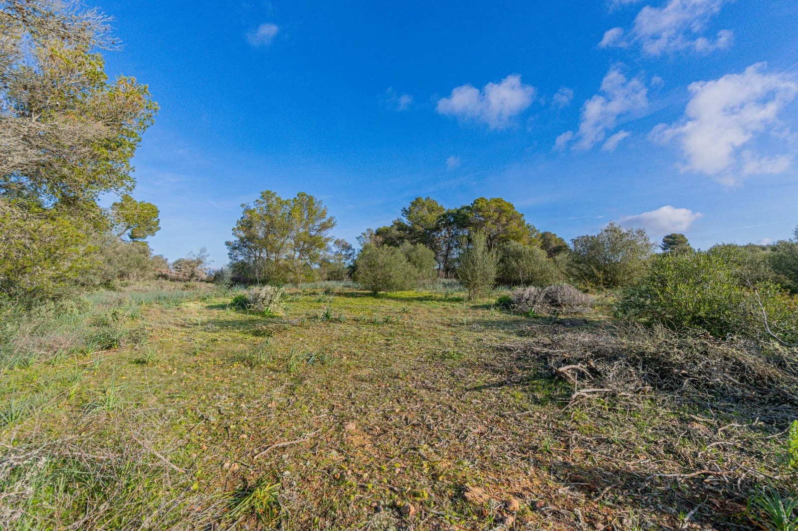 Grunde uden byggetilladelser til salg i Palma de Mallorca - € 139.000 (Ref: 9518940)