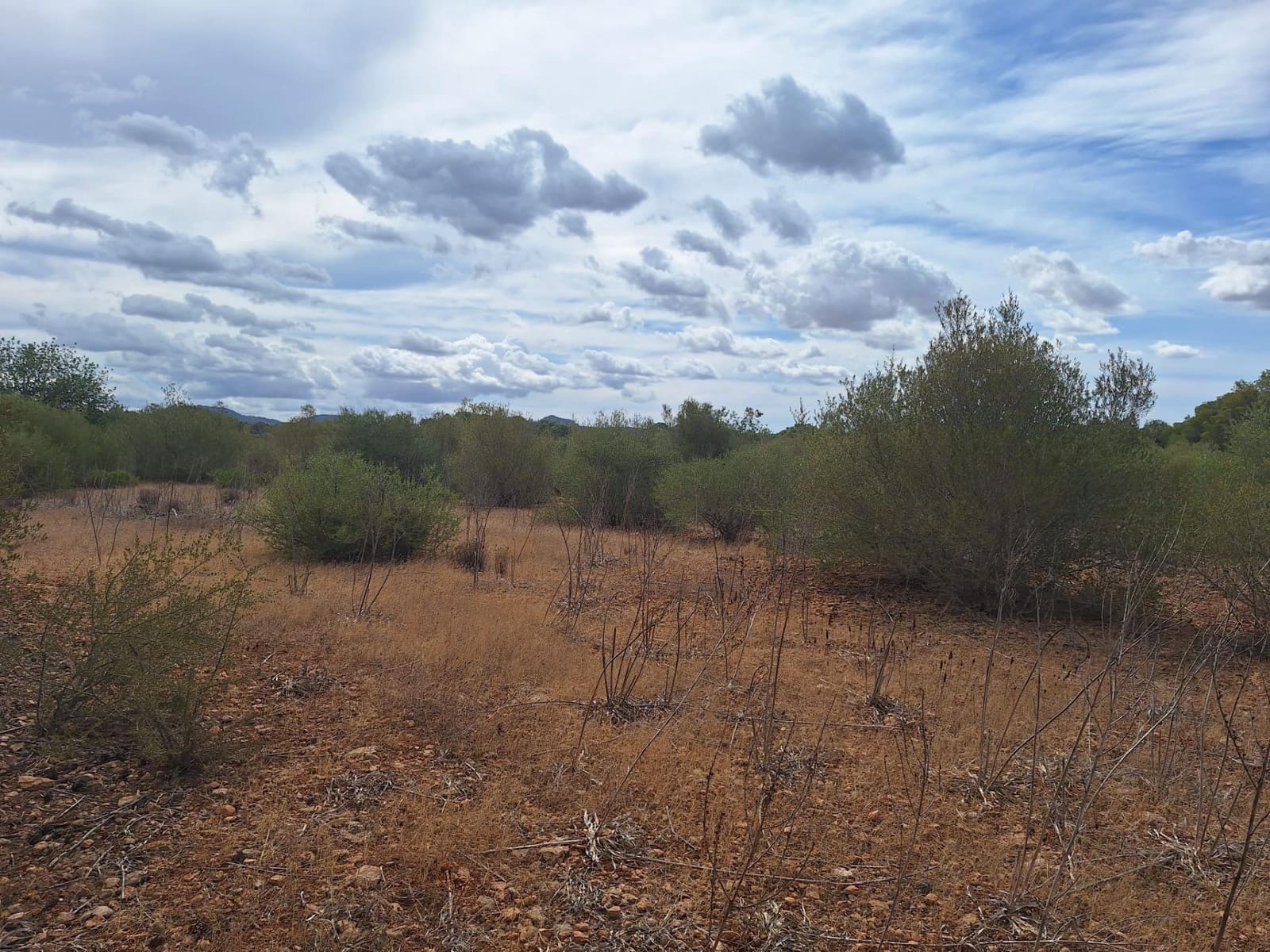 Grunde uden byggetilladelser til salg i Palma de Mallorca - € 139.000 (Ref: 9518940)