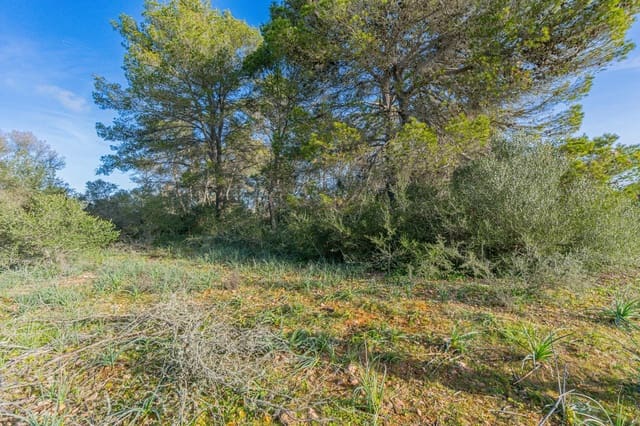 Grunde uden byggetilladelser til salg i La Casa Blanca, Palma de Mallorca - € 139.000 (Ref: 9518940)