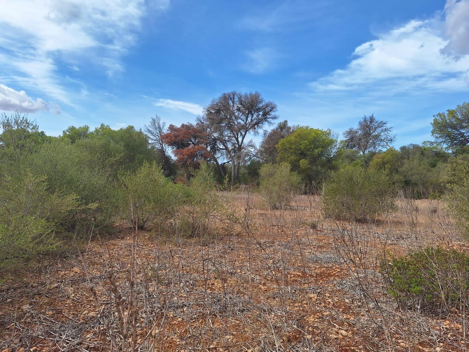 Grunde uden byggetilladelser til salg i Palma de Mallorca - € 139.000 (Ref: 9518940)