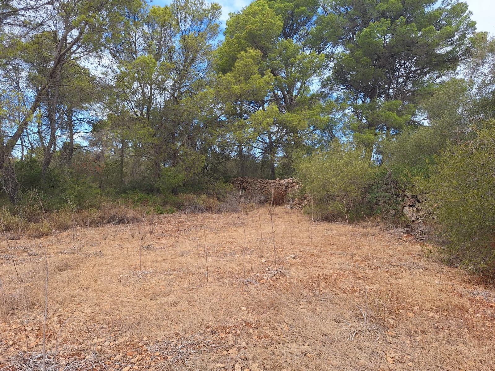 Grunde uden byggetilladelser til salg i Palma de Mallorca - € 139.000 (Ref: 9518940)