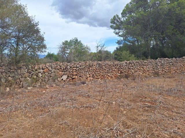 Grunde uden byggetilladelser til salg i La Casa Blanca, Palma de Mallorca - € 139.000 (Ref: 9518940)