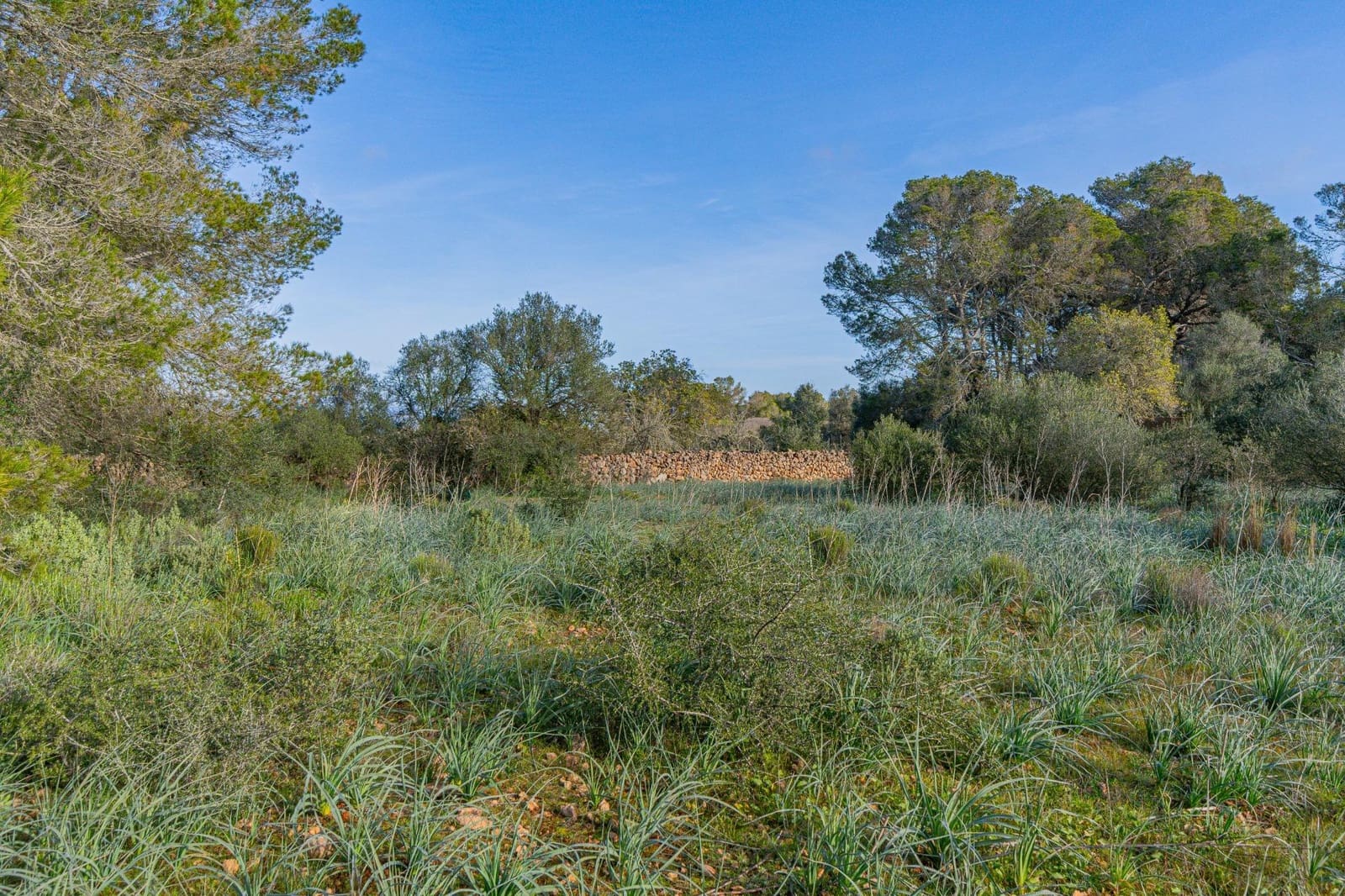 Rakentamaton maa myytävänä paikassa Palma de Mallorca - 139 000 € (Ref: 9518940)