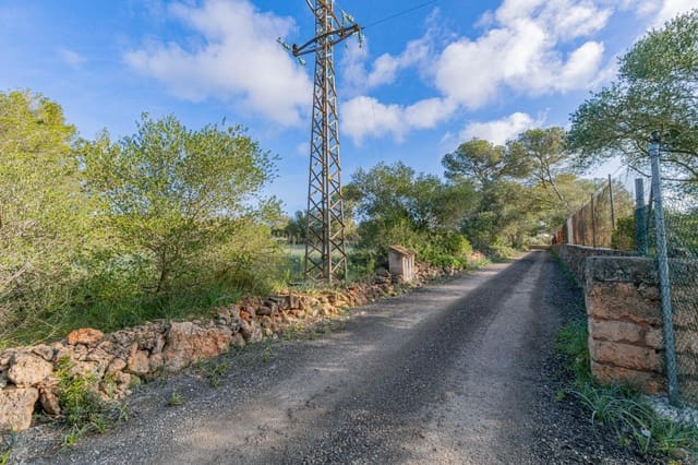 Terreno Não Urbanizado para venda em La Casa Blanca, Palma de Mallorca - 139 000 € (Ref: 9518940)