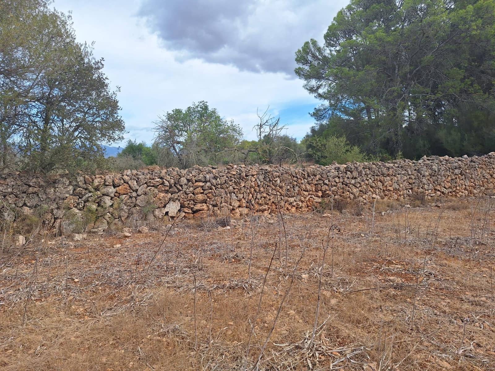 Rakentamaton maa myytävänä paikassa Palma de Mallorca - 139 000 € (Ref: 9518940)