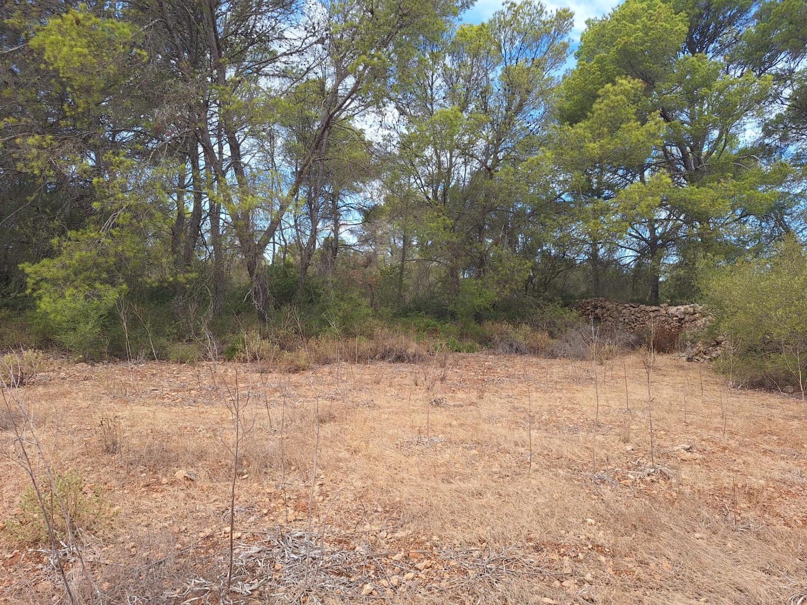 Rakentamaton maa myytävänä paikassa Palma de Mallorca - 139 000 € (Ref: 9518940)