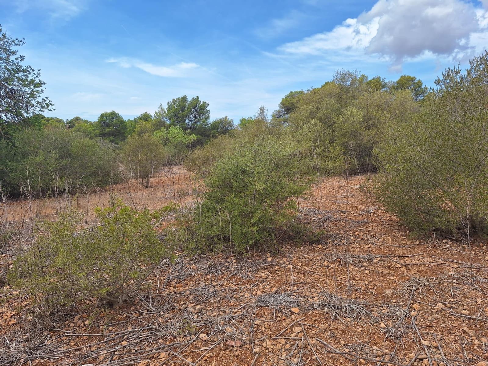 Rakentamaton maa myytävänä paikassa Palma de Mallorca - 139 000 € (Ref: 9518940)