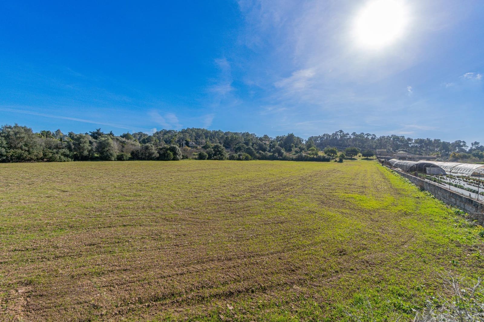 Rakentamaton maa myytävänä paikassa Marratxinet (Marratxi) - 429 900 € (Ref: 9571226)