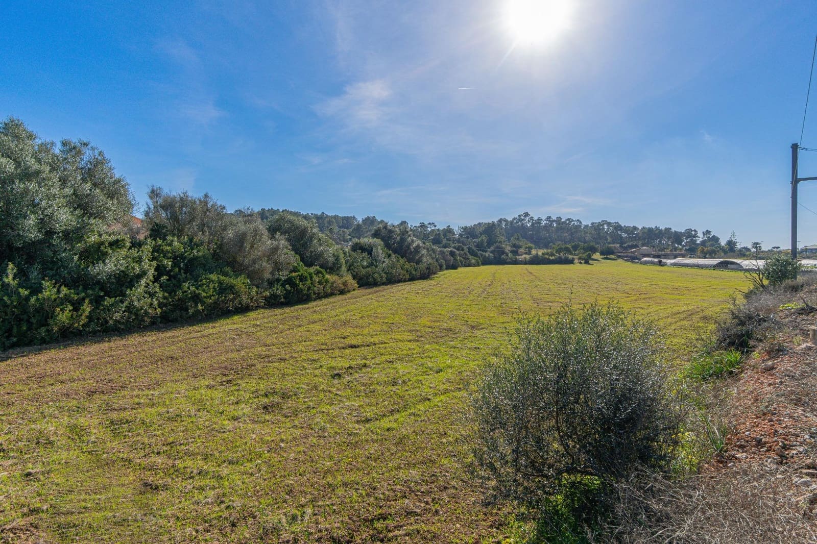 Rakentamaton maa myytävänä paikassa Marratxinet (Marratxi) - 429 900 € (Ref: 9571226)