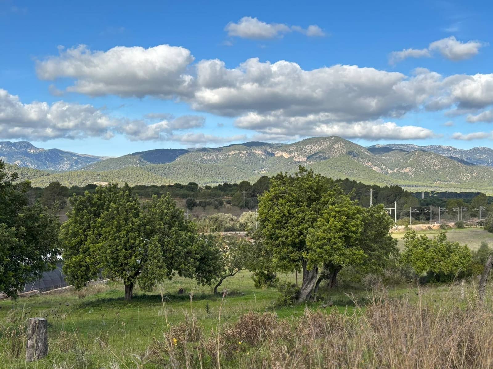 Rakentamaton maa myytävänä paikassa Marratxinet (Marratxi) - 429 900 € (Ref: 9571226)