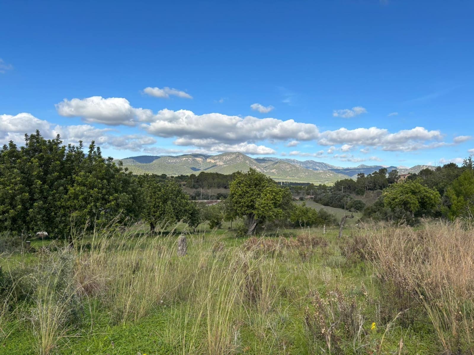 Rakentamaton maa myytävänä paikassa Marratxinet (Marratxi) - 429 900 € (Ref: 9571226)