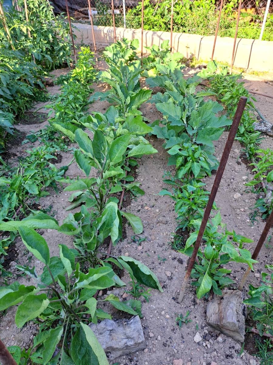 Commercial for rent in Son Ferrer - € 1,200 (Ref: 9605017)