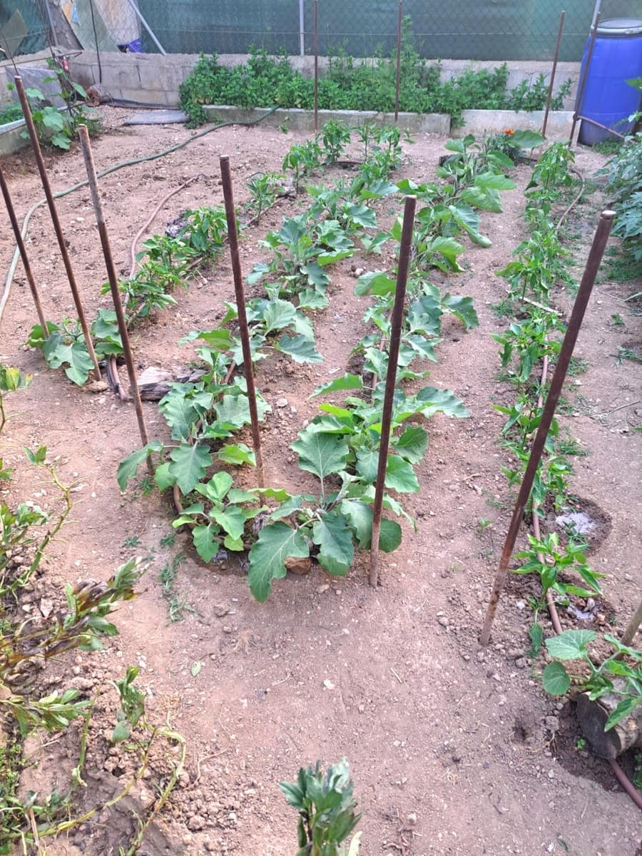 Commercial for rent in Son Ferrer - € 1,200 (Ref: 9605017)