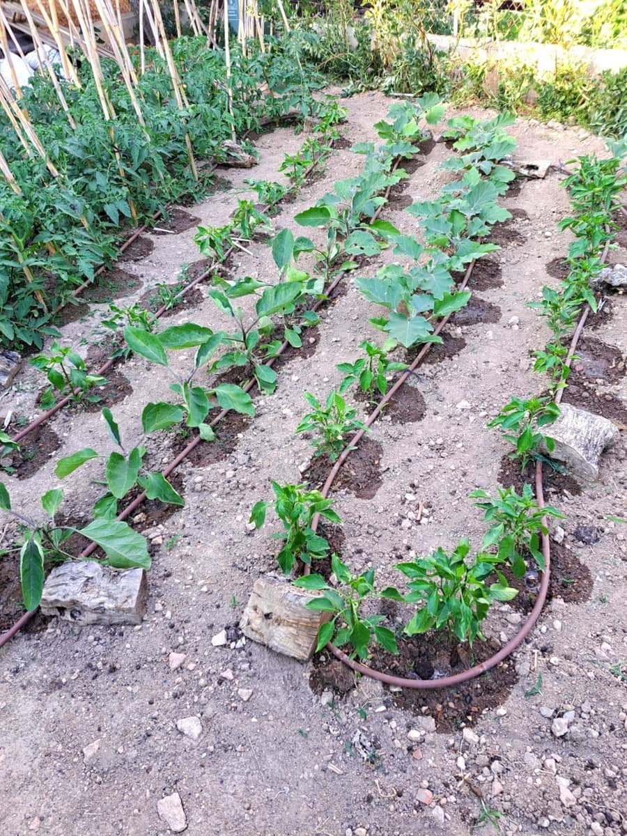 Commercial for rent in Son Ferrer - € 1,200 (Ref: 9605017)