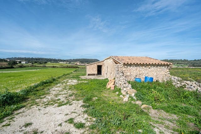 Grunde uden byggetilladelser til salg i Montuïri - € 180.000 (Ref: 9625729)