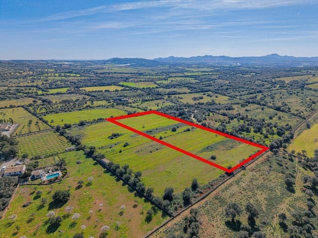 Teren niezagospodarowany na sprzedaż w Manacor - 215 000 € (Ref: 9637643)