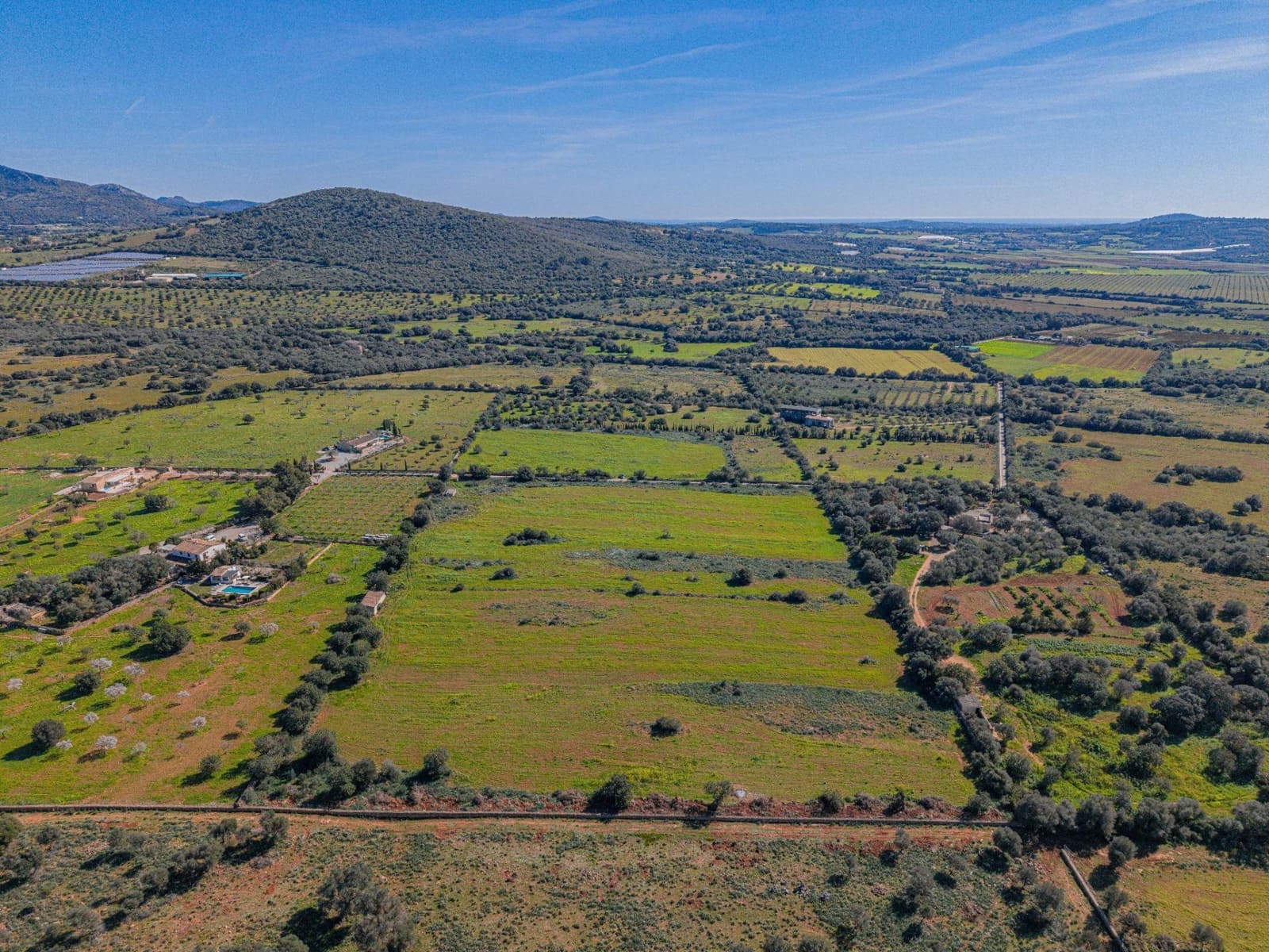 Mark till salu i Manacor - 215 000 € (Ref: 9637643)