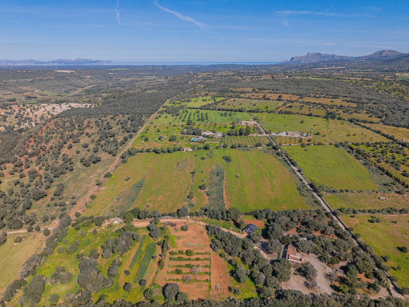 Mark till salu i Manacor - 215 000 € (Ref: 9637643)