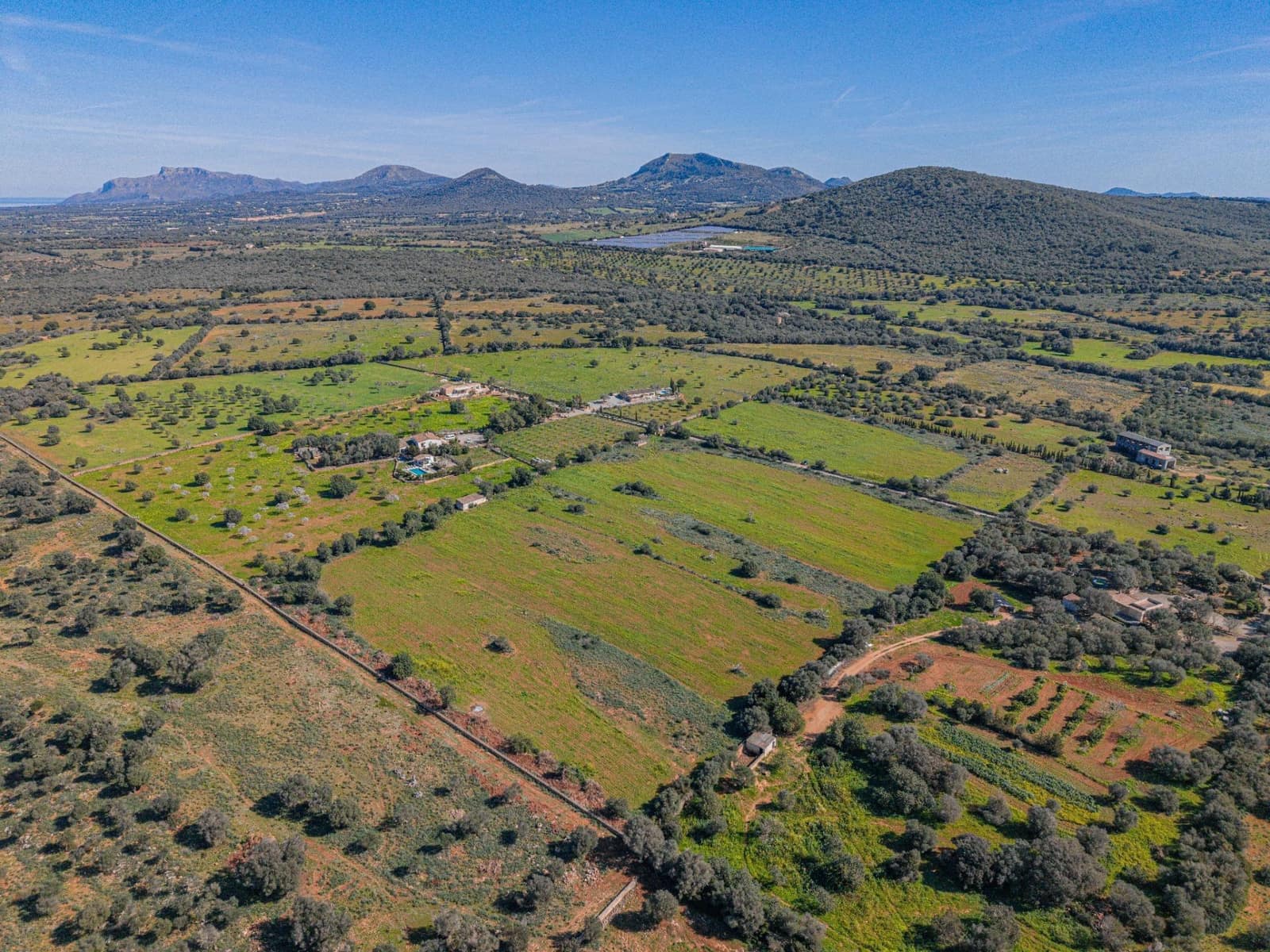 Mark till salu i Manacor - 215 000 € (Ref: 9637643)