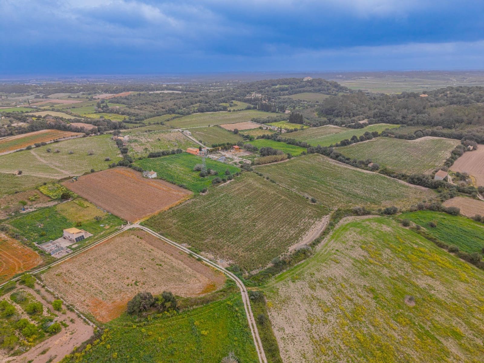 Terreno Non Edificato in vendita in Muro - 49.900 € (Rif: 9677536)