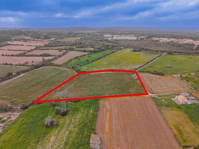 Terreno/Finca Rústica en Muro en venta - 49.900 € (Ref: 9677536)