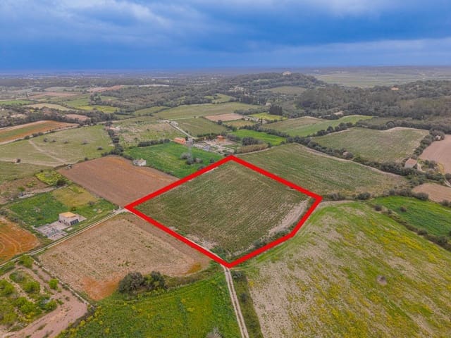 Terreno/Finca Rústica en Muro en venta - 49.900 € (Ref: 9677536)