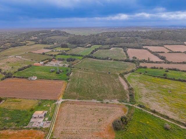 Terreno/Finca Rústica en Muro en venta - 49.900 € (Ref: 9677536)