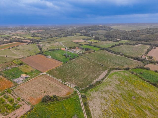 Terreno/Finca Rústica en Muro en venta - 49.900 € (Ref: 9677536)