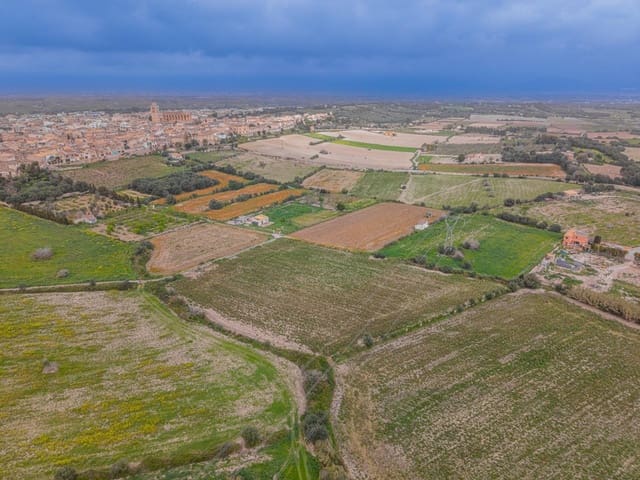Terreno/Finca Rústica en Muro en venta - 49.900 € (Ref: 9677536)