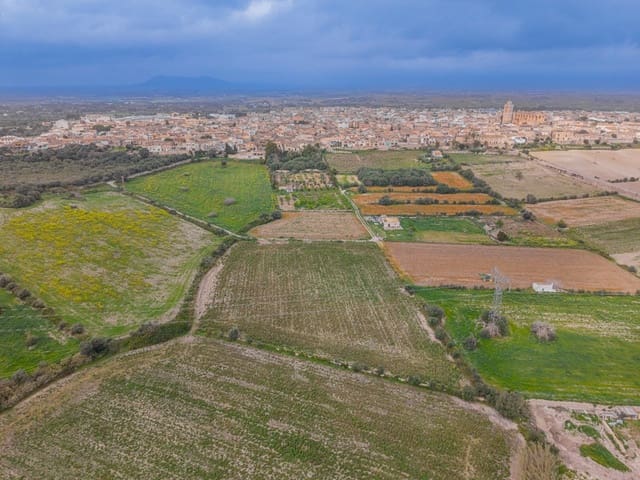 Terreno/Finca Rústica en Muro en venta - 49.900 € (Ref: 9677536)