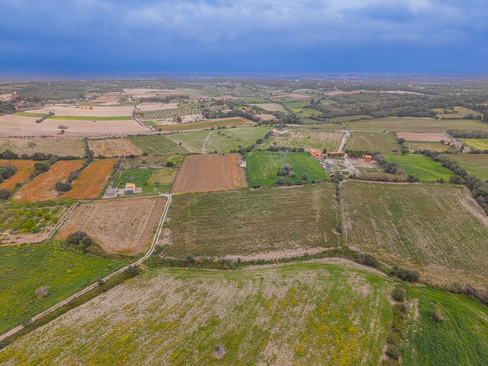 Terreno Non Edificato in vendita in Muro - 49.900 € (Rif: 9677536)