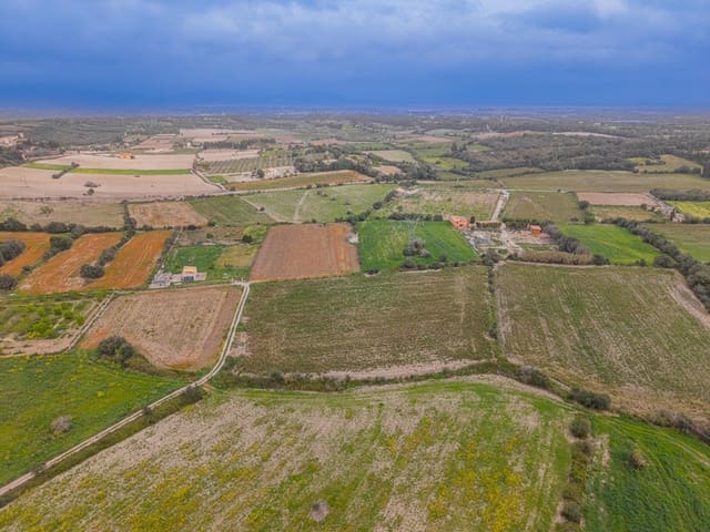 Terreno/Finca Rústica en Muro en venta - 49.900 € (Ref: 9677536)