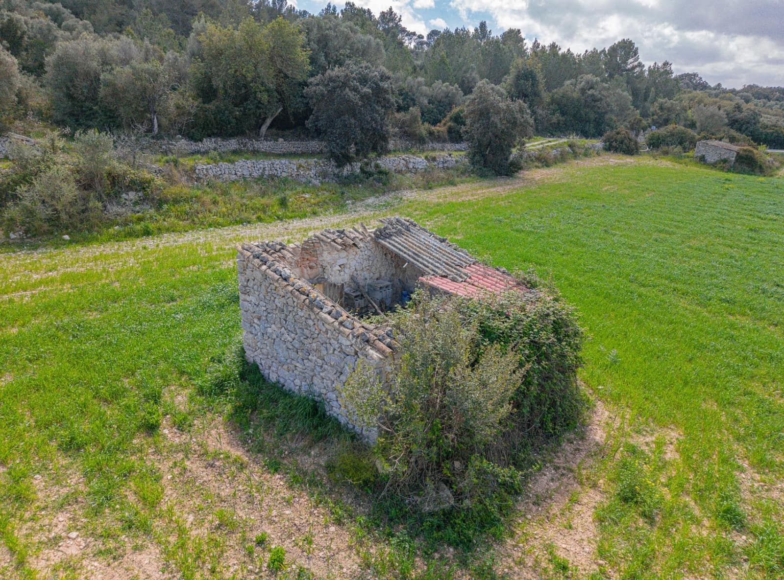 Undeveloped Land for sale in Llubi - € 249,000 (Ref: 9726674)