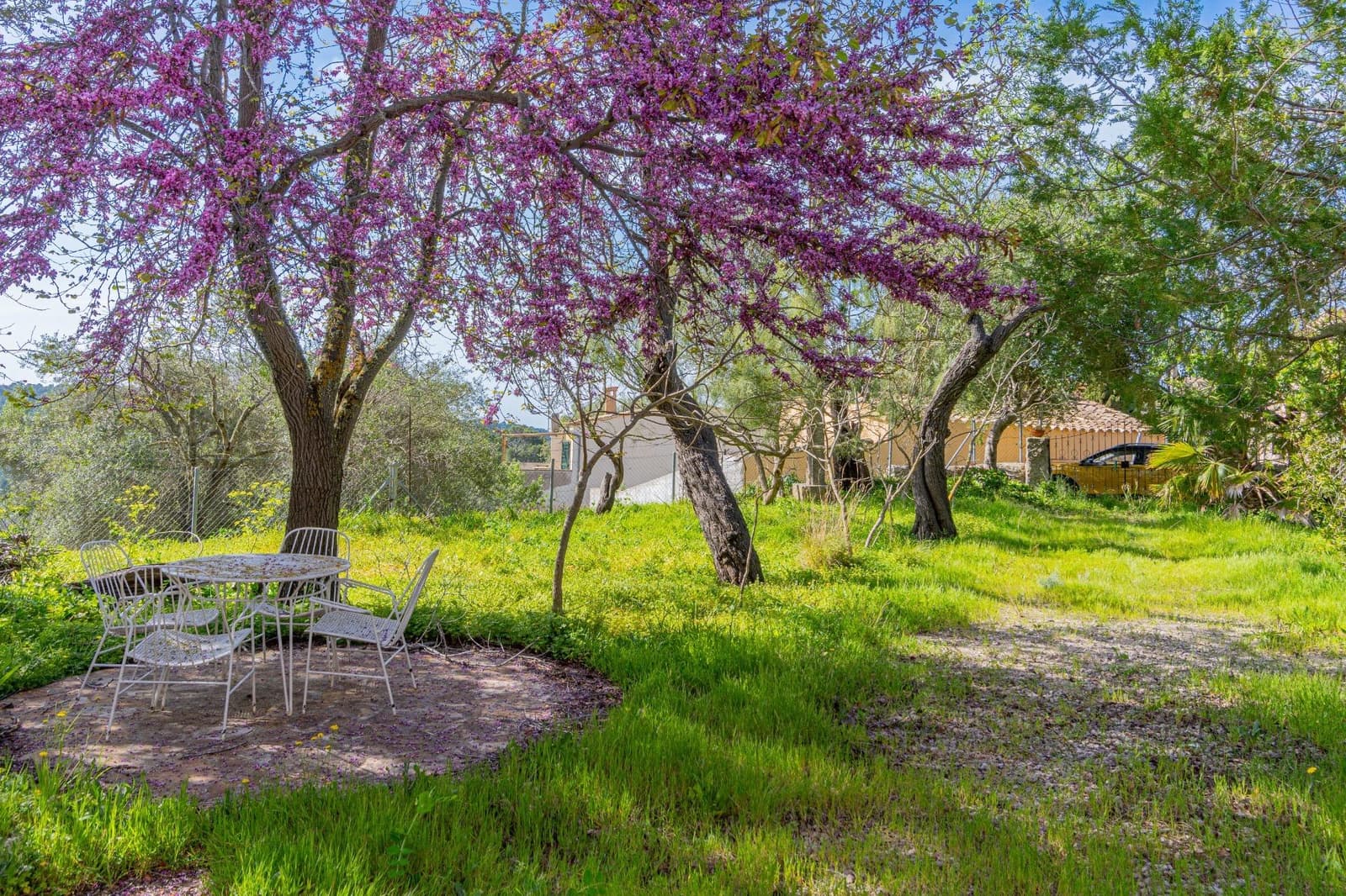 3 camera da letto Casa in vendita in Galilea - 1.090.000 € (Rif: 9762030)